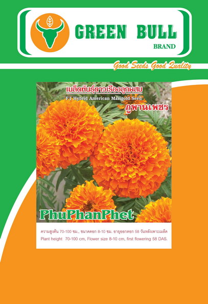 紾ѹͧѴ͡١ پҹྪ 紾ѹͧжҧ١ پҹͧ F1 Marigold Seeds Hoa Cuc Van Tho