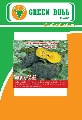 紾ѹѡͧ,hat giong bi do,Grand Vang Thong, pumkin seeds,www.greenbullseed.com